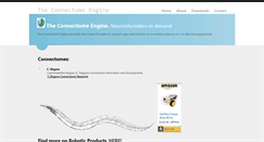 Desktop Screenshot of connectomeengine.com